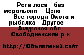 Рога лося , без медальона. › Цена ­ 15 000 - Все города Охота и рыбалка » Другое   . Амурская обл.,Свободненский р-н